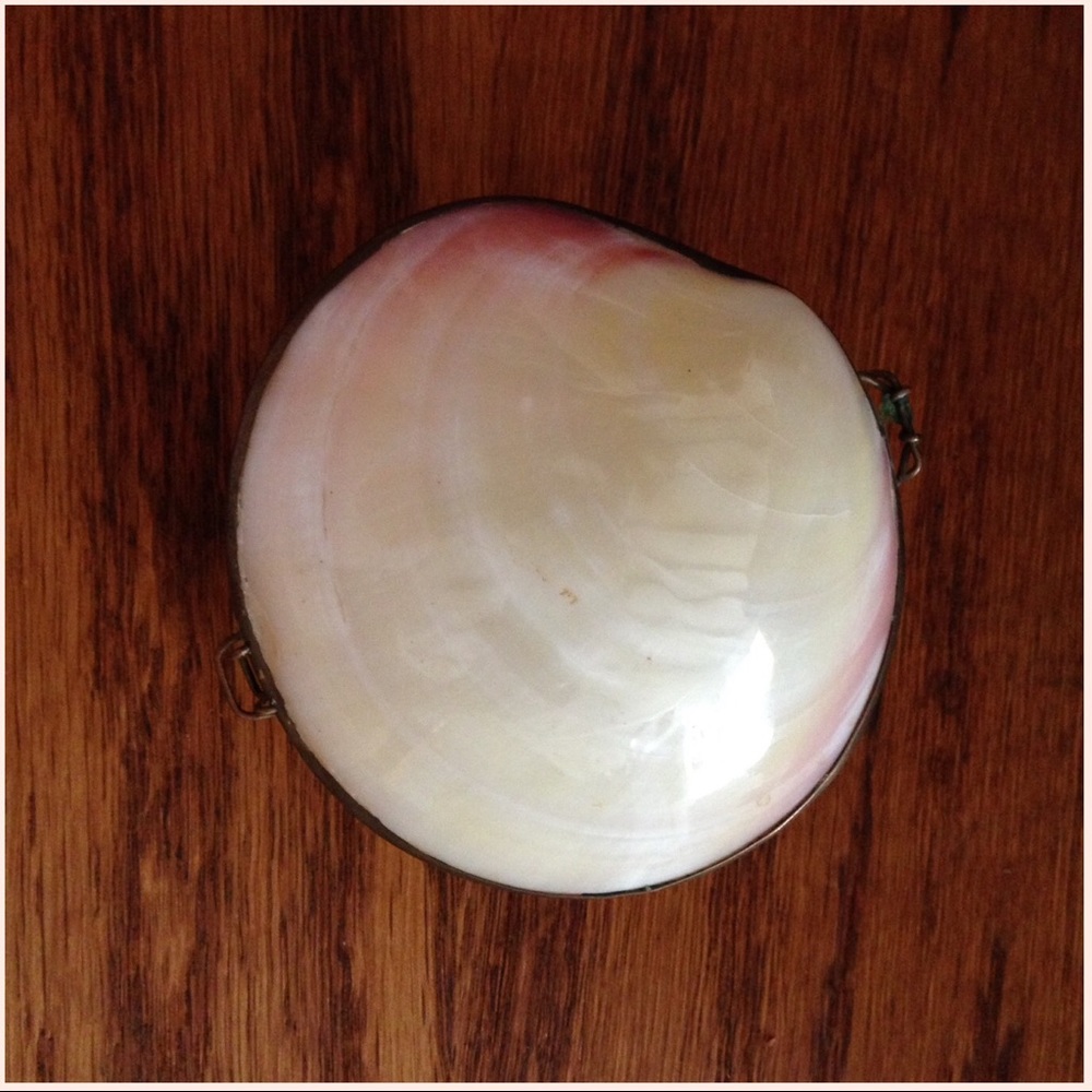 Pretty SHELL Latching Container🌿 - Picture 3 of 4